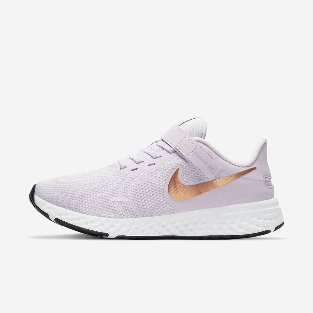 Chaussure De Running Nike Revolution 5 FlyEase Violet 3482-709 Light Violet/Light Arctic Pink/Black/Metallic Copper Femme | MJG-80353912